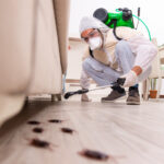 pest control specialist removing pests