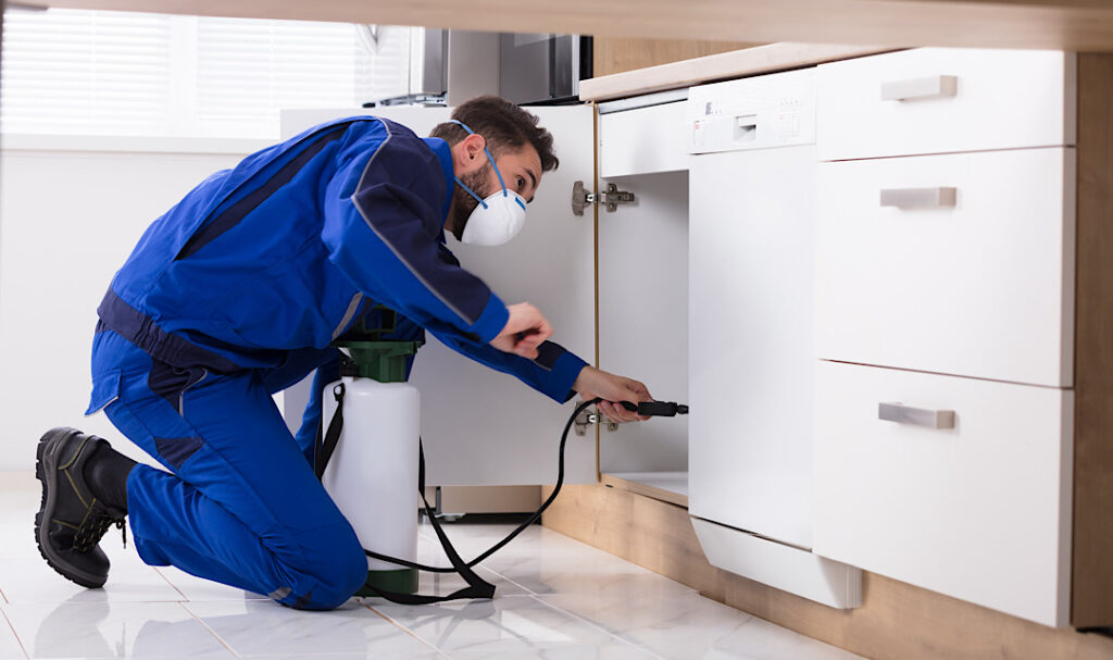 Professional Pest Control Services | Safe & Efficient | Denver, CO