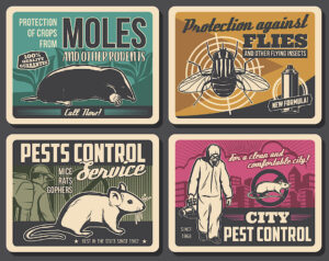 Pest Control